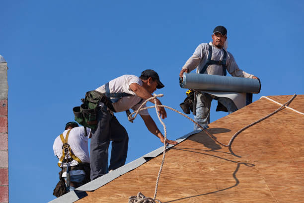 Best Roof Gutter Cleaning  in Bourbon, MO